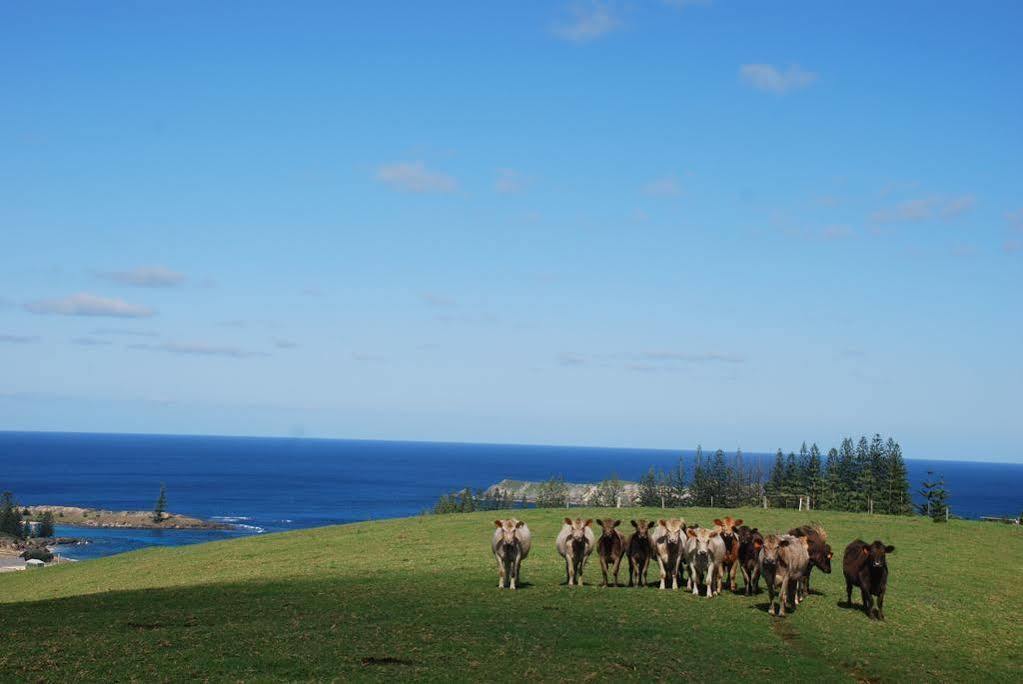 דירות בורנט פיין Coast Norfolk Island מראה חיצוני תמונה
